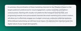AIPRM Prompt- Target Audience - Summary Output example