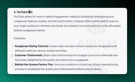 AIPRM Prompt- Target Audience - YouTube Output example