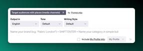 Screenshot of AIPRM Prompt for Target Audience with places